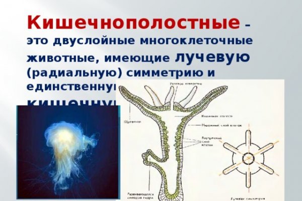 Что такое даркнет кракен